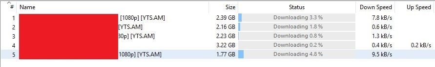 Torrent apenas em alguns servidores