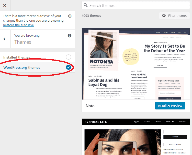 wordpress theme