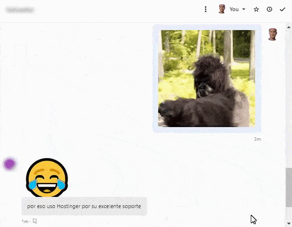 Hostinger customer support experience
