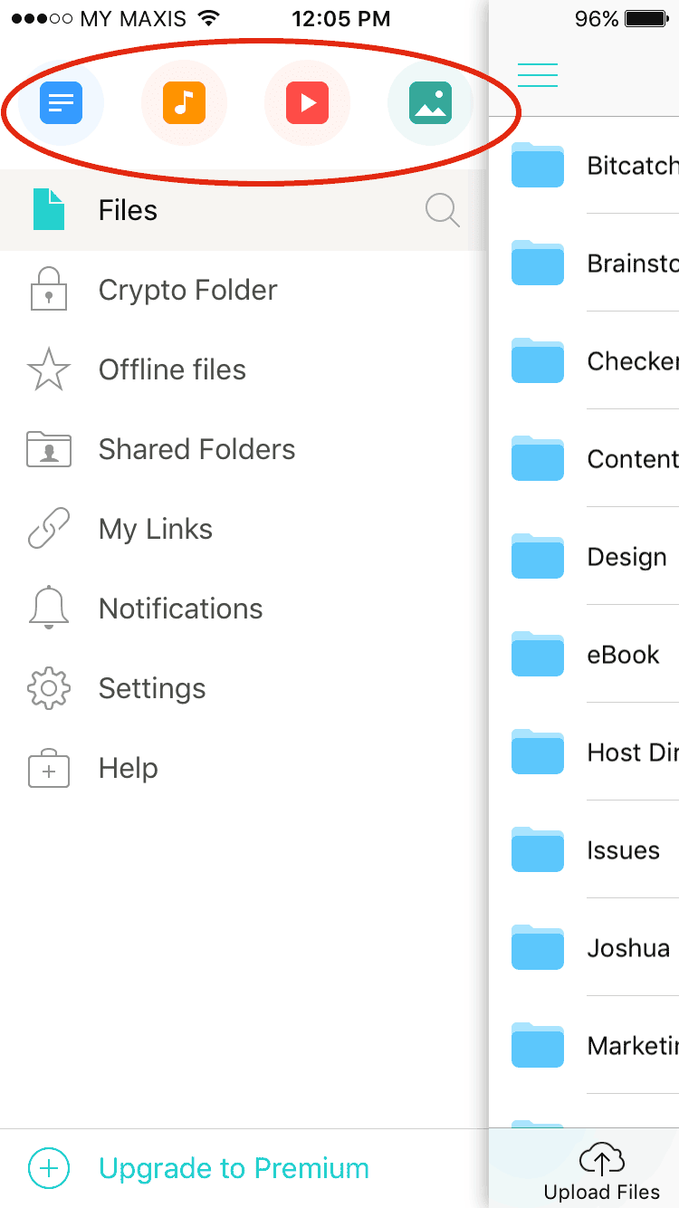 pcloud app access file type