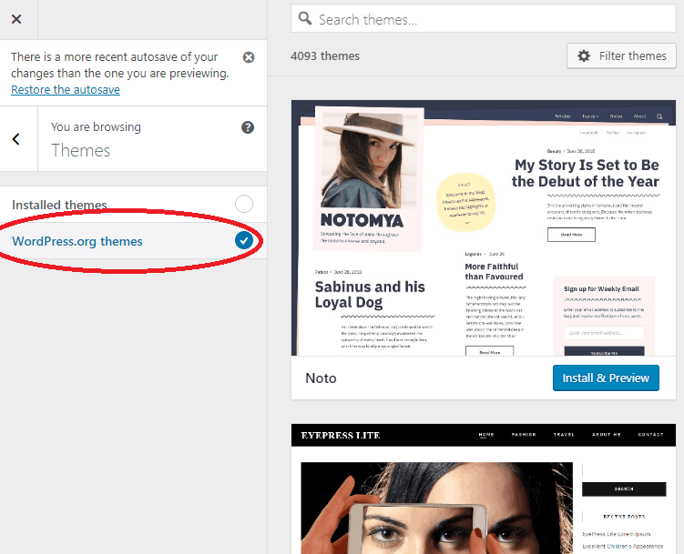 wordpress theme