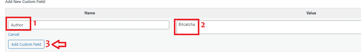 wordpress name and value in custom field