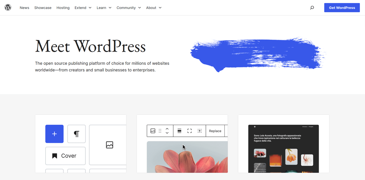wordpress cms