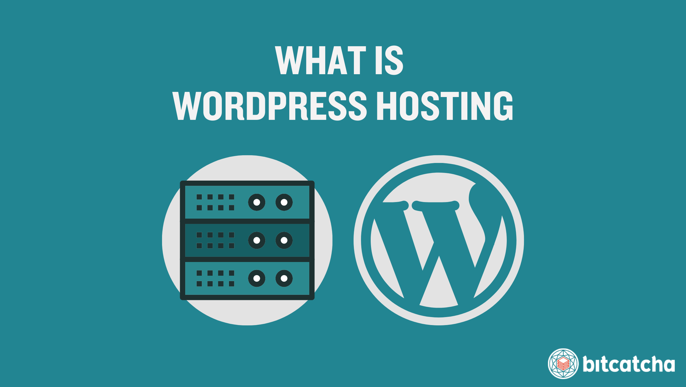 What is WordPress Hosting: How it works, pros & cons, who should use