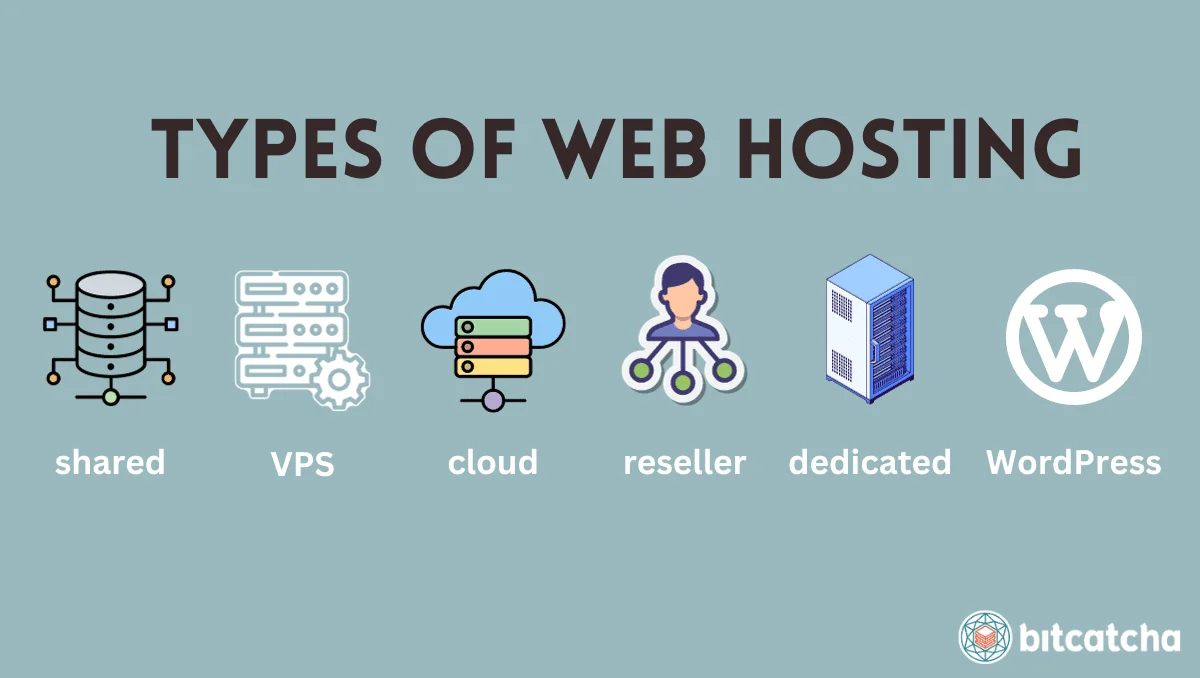 type of web hosting