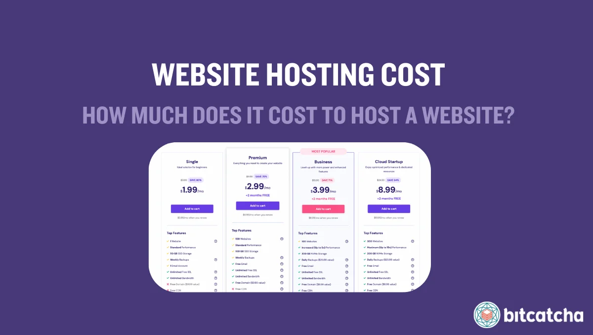 website hosting cost