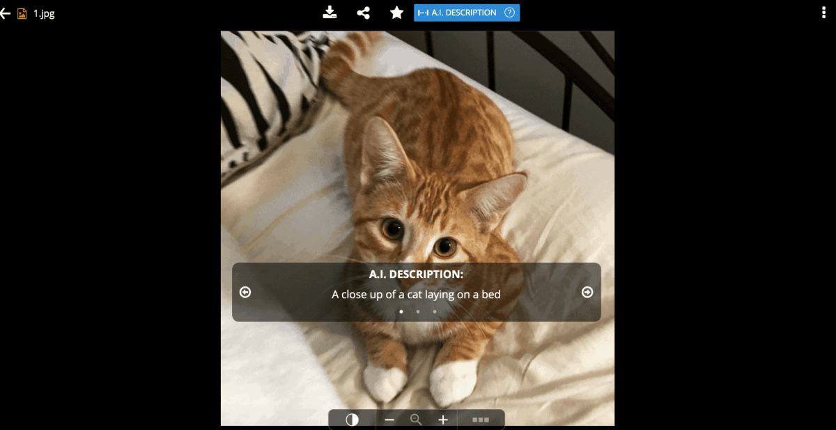 zoolz AI can analyze and describe image
