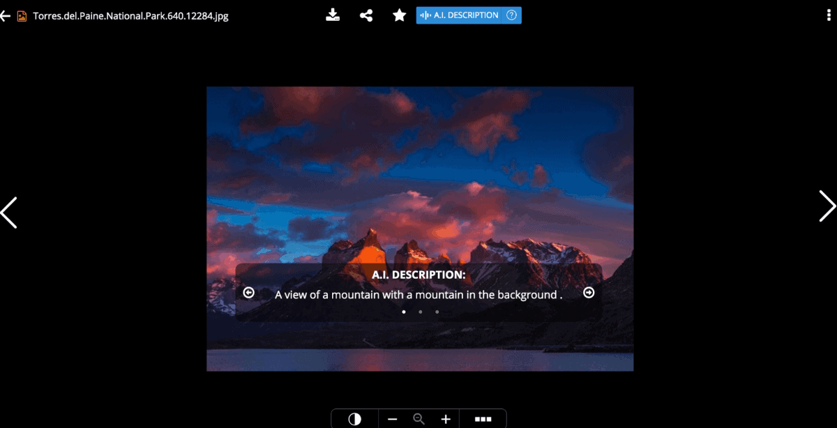 zoolz AI can analyze and describe image2