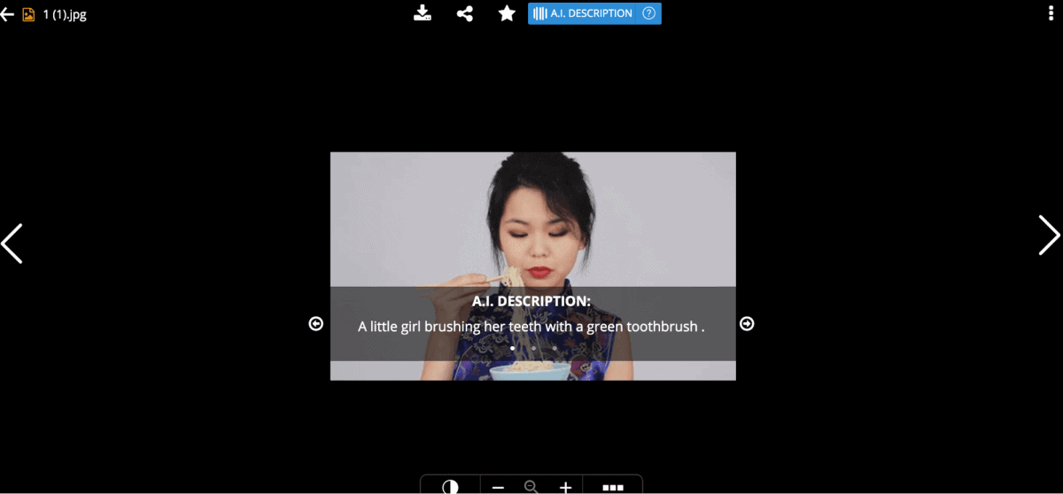 zoolz AI can analyze and describe image incorrectly
