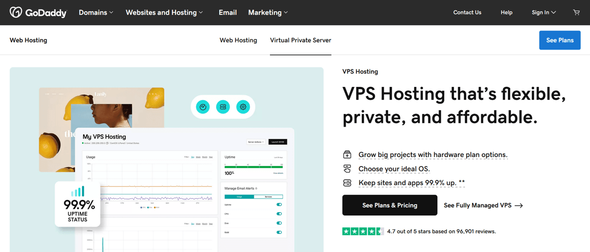 godaddy managed virtual private server with cpanel