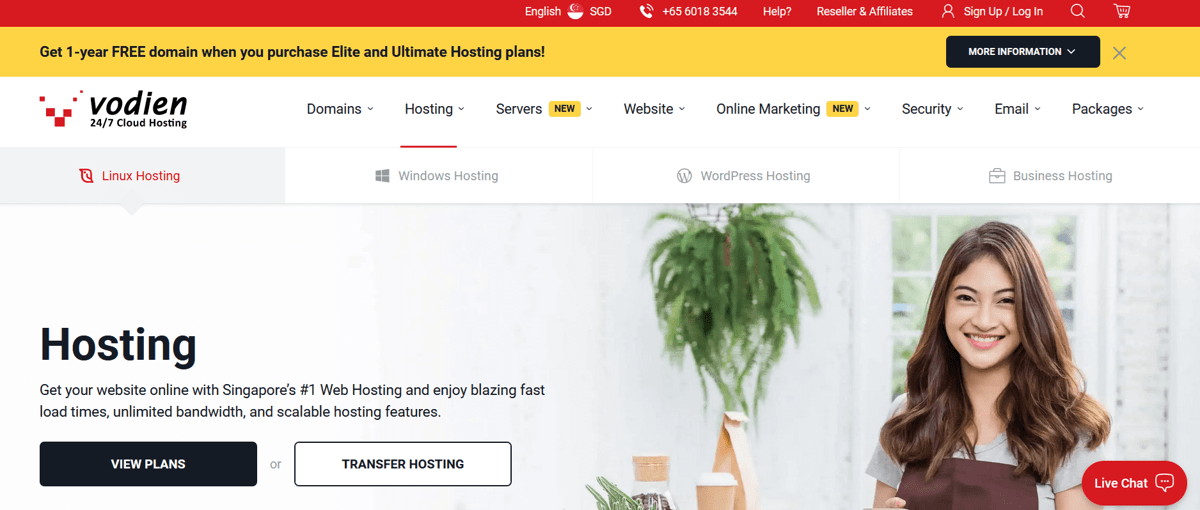 vodien web hosting services for philippines