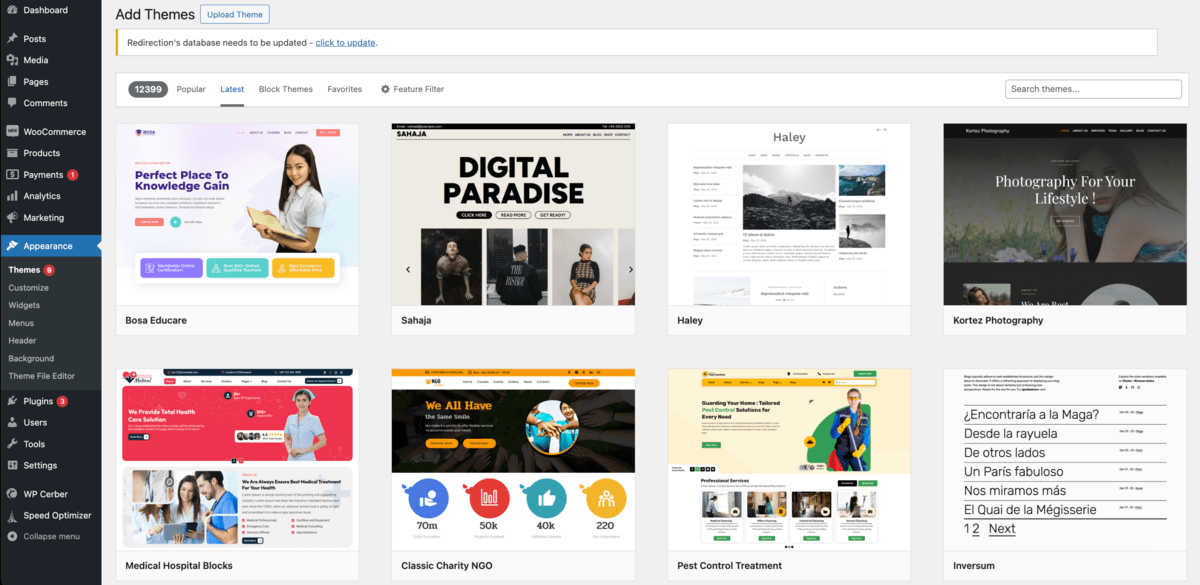 installing wordpress theme