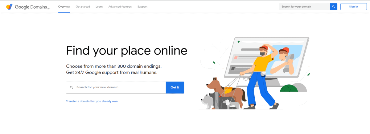 google domain domain registrar