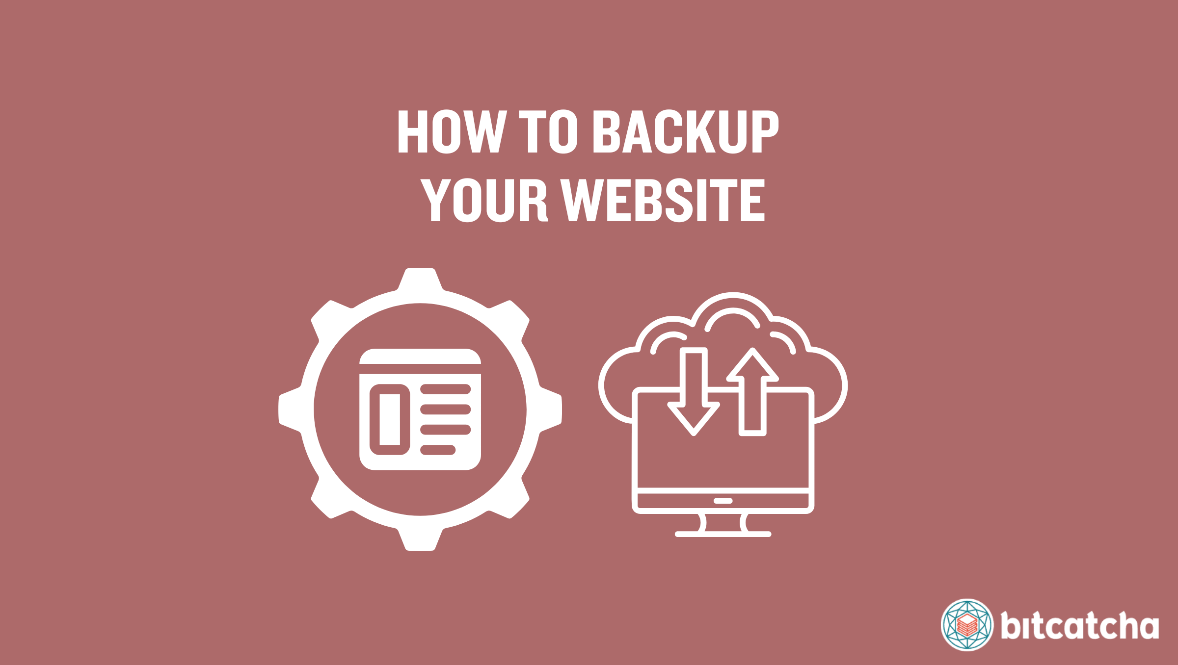 how to backup website