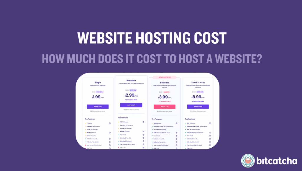 web hosting and domain cost