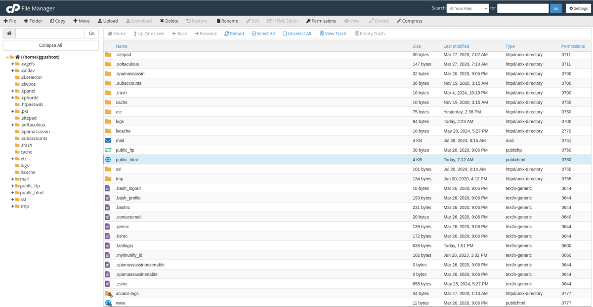 accessing website files via file manager