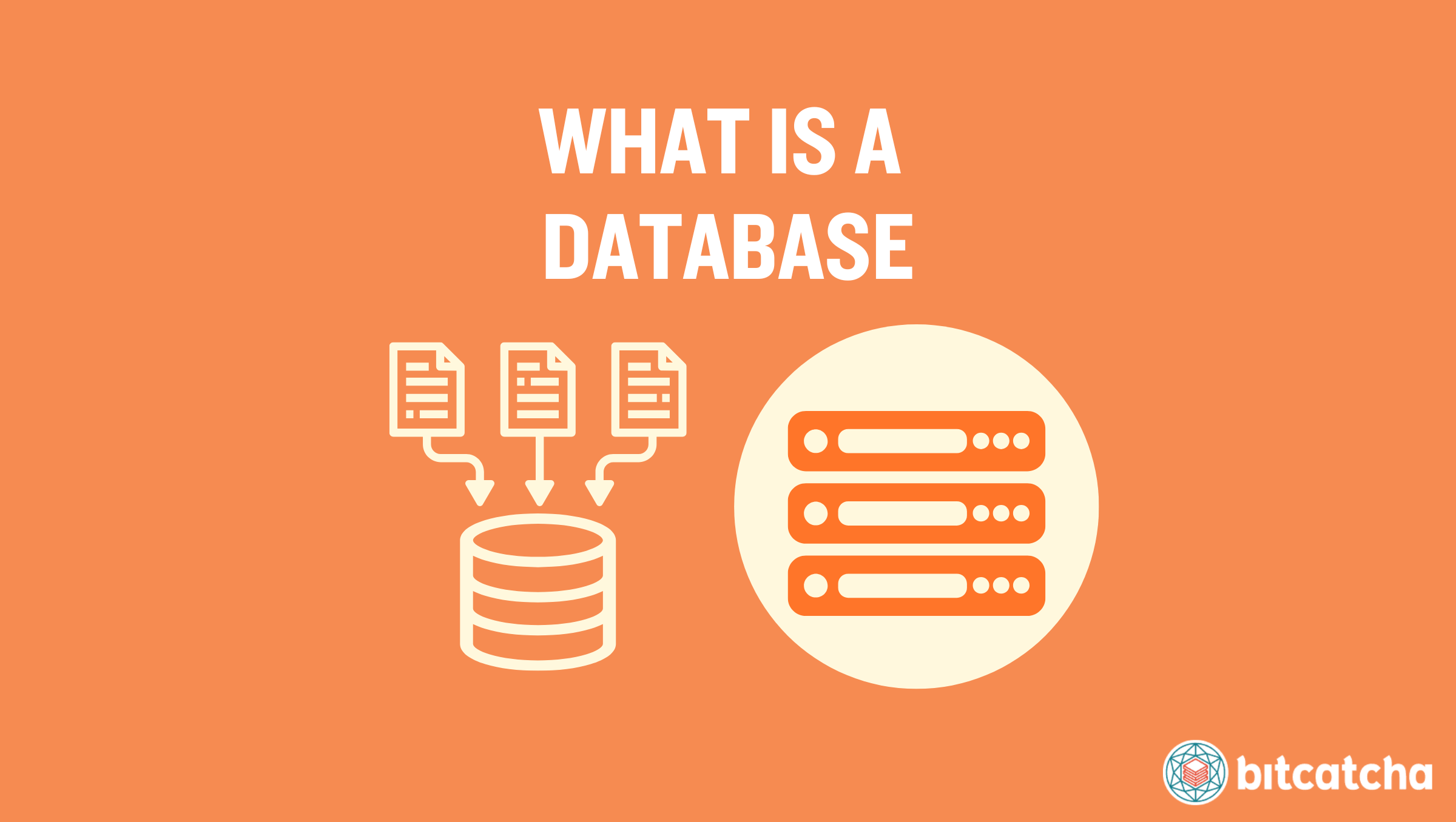 what is a database