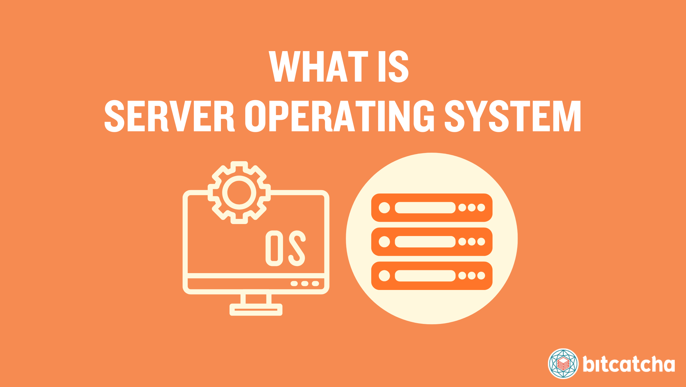 what is a server operating system