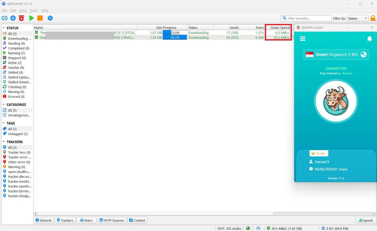 Torrents download quickly and at high speeds on BullVPN